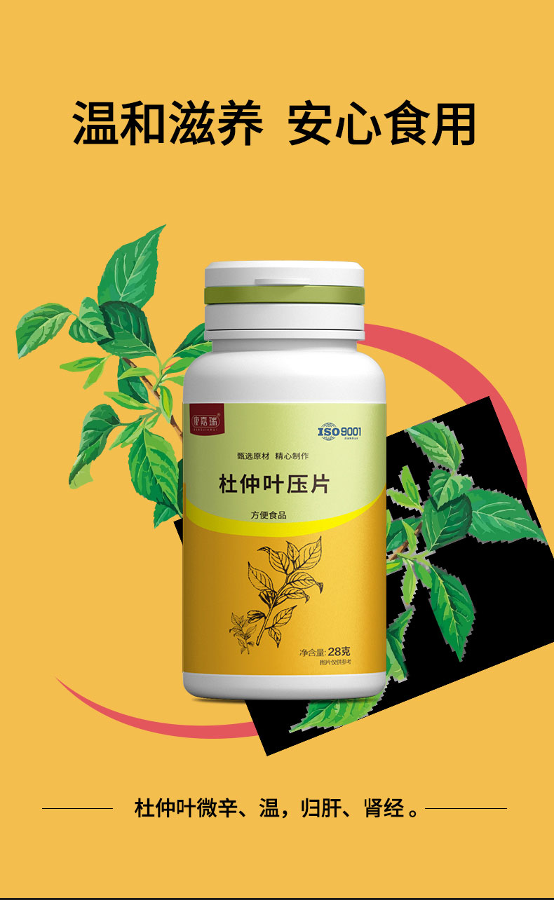 杜仲葉片-新資源食品類(圖3)