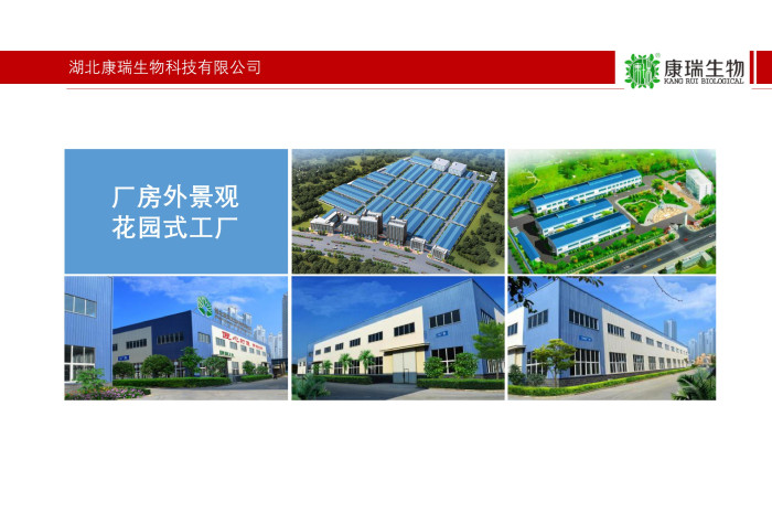 膏滋代加工_無配方一站式解決方案【湖北研發廠家】(圖3)